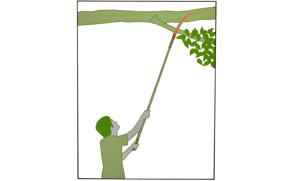 Made in Japan · Kanzawa brand Samurai - Professional Quality Pipe-grip type 13-3/4"/35 cm Pole Saw or Hand Saw 4 mm (5/32") spacing between teeth I