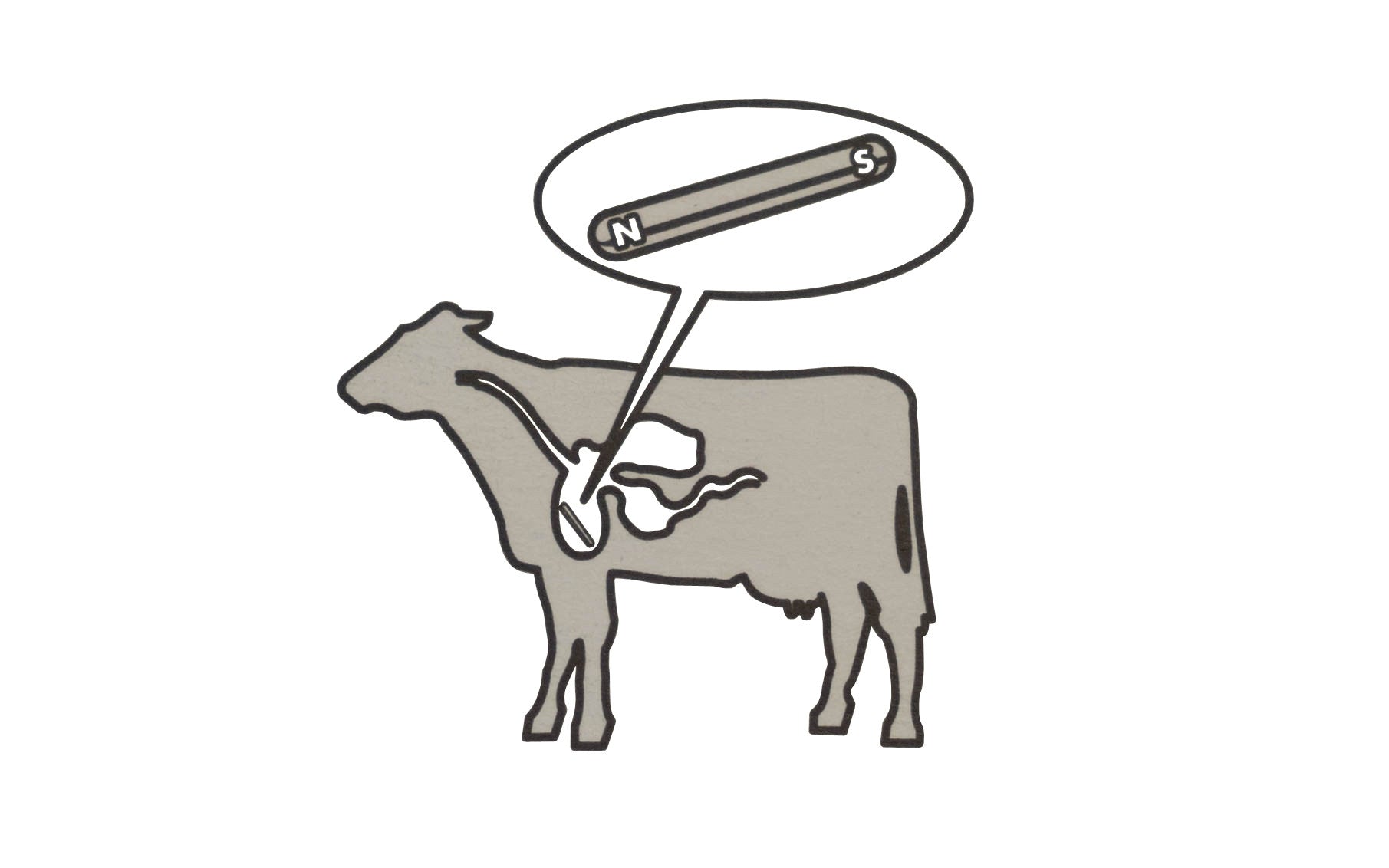 Cow Magnet ~ Original Alnico Magnet